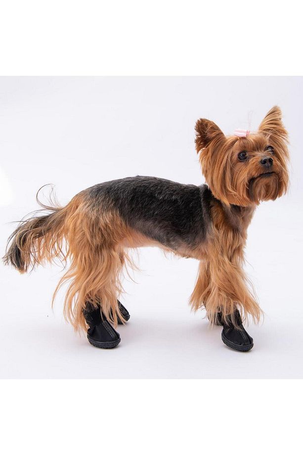 Siyah Köpek Ayakkabısı-Köpek Patiği - 4