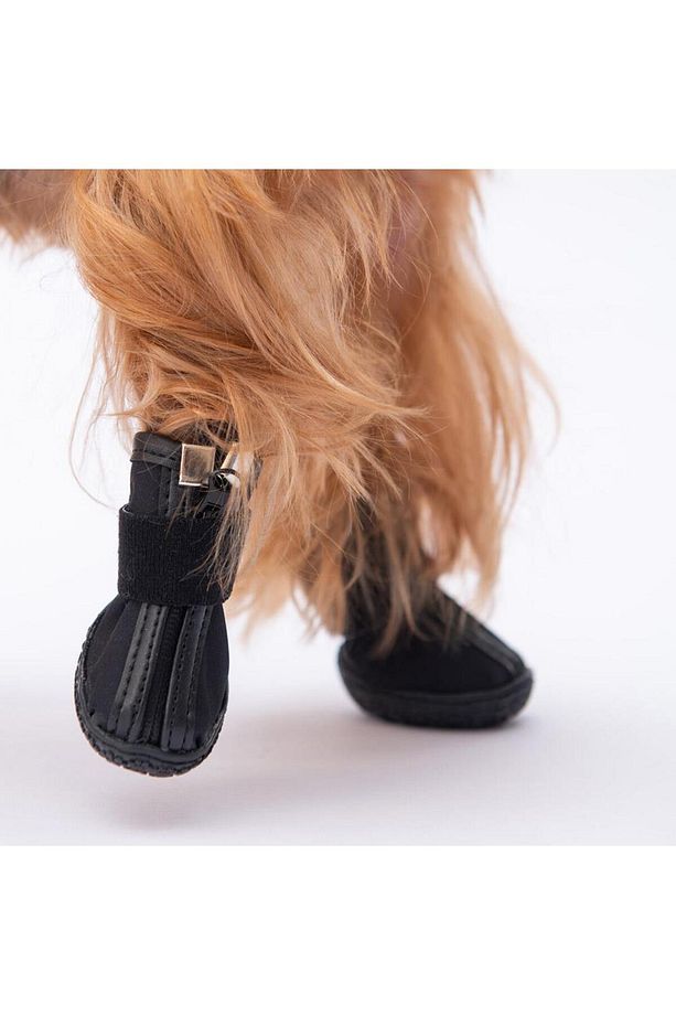Siyah Köpek Ayakkabısı-Köpek Patiği - 5