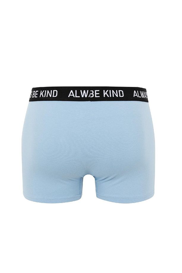 Regular Fit 3lü Boxer B7912ax24sm - 3