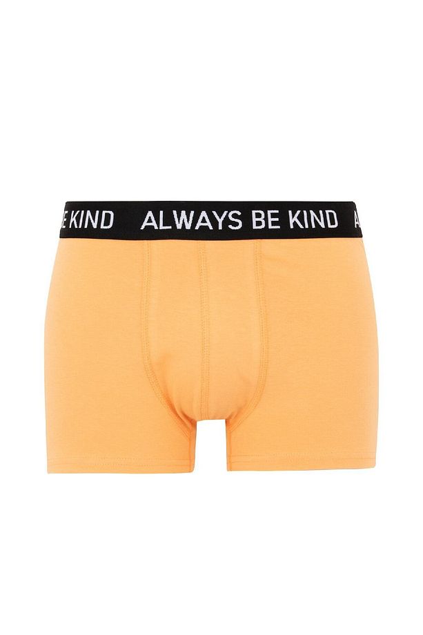 Regular Fit 3lü Boxer B7912ax24sm - 6