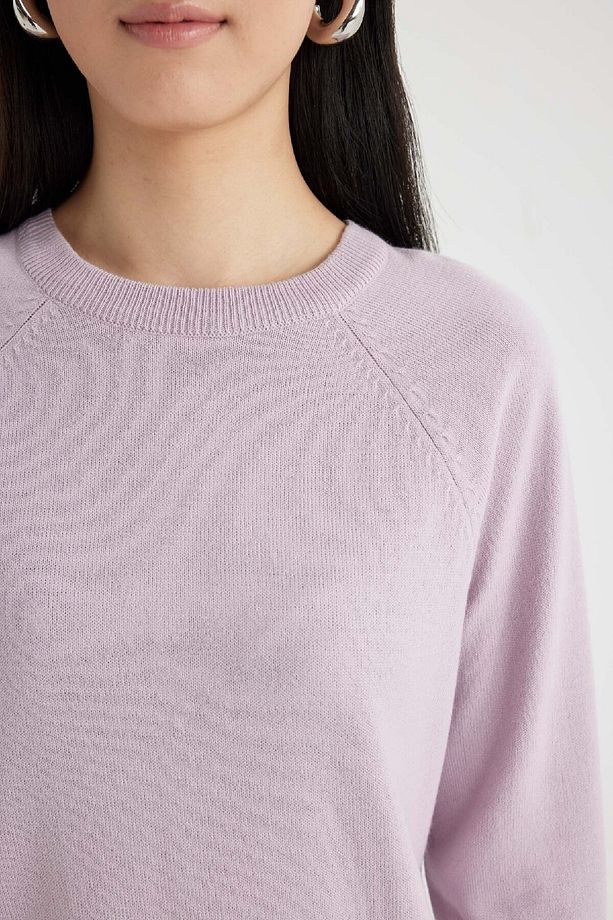 Regular Fit Yumuşak Dokulu Bisiklet Yaka Reglan Kol Basic Düz Triko Kazak I6913az24wn - 5