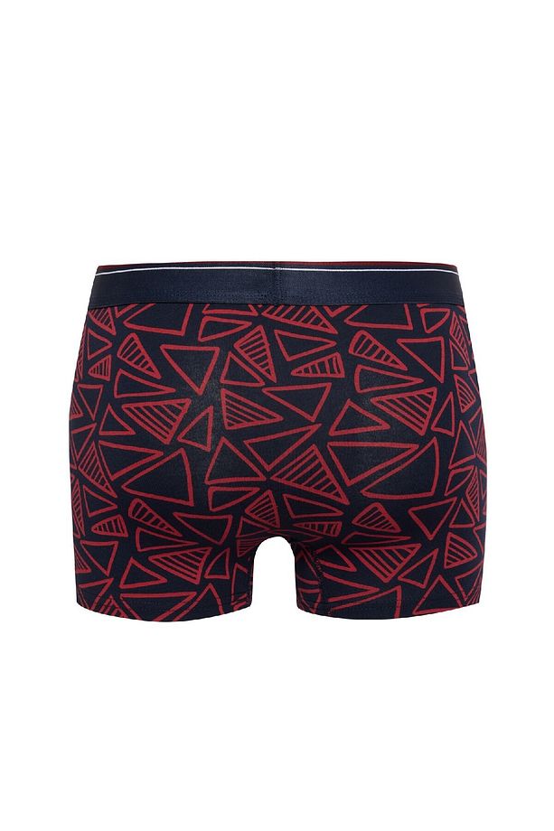 Regular Fit Baskılı 3'lü Boxer C3270ax24cw - 3