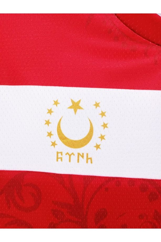 Kurt Motifli Yeni Nesil Türkiye Forması TEK ÜST  K0172 (Tek Kelime İsim ve Numara Yazılır)-M - 5