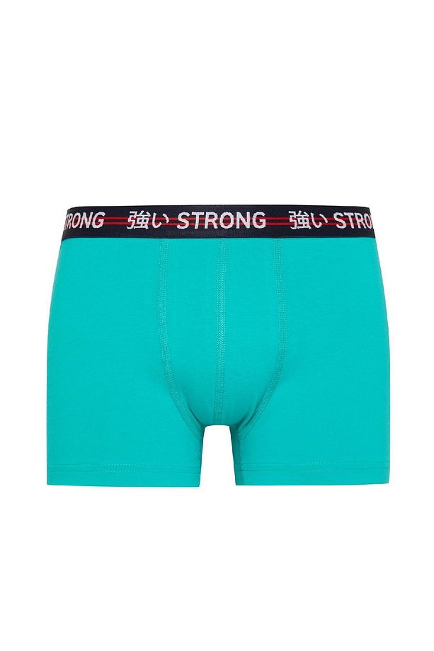 Regular Fit Basic Düz 3lü Boxer C3280ax24wn - 5