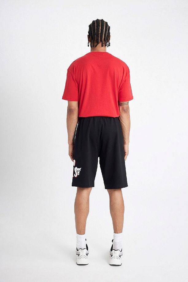 DeFactoFit NBA Chicago Bulls Standart Fit Kısa Paça Şort C4462AX24HS - 7