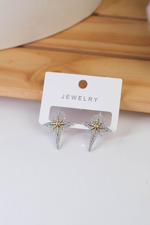 KADIN ÇELİK KÜPE - 1