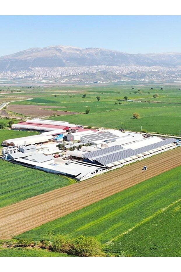 Odun Ateşinde Işkembe Çorbası 900 Gr (3 Kişilik) - 2