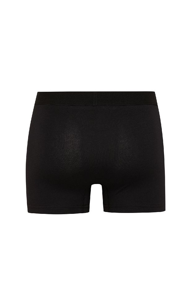 Erkek Regular Fit 3'lü Boxer A3152ax24au - 3