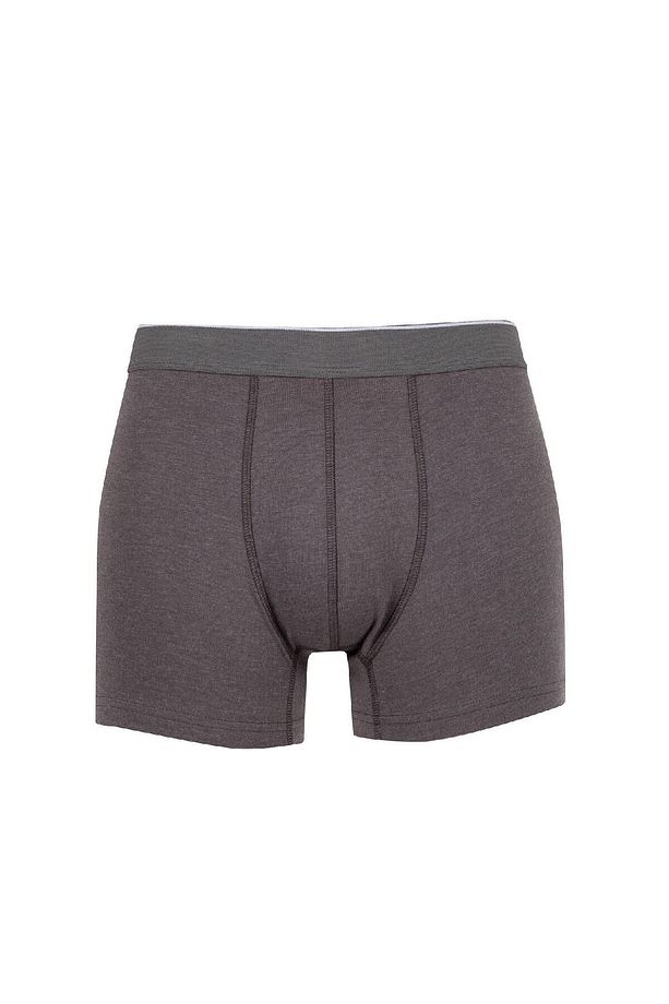 Regular Fit 3'lü Boxer C9550ax24au - 2