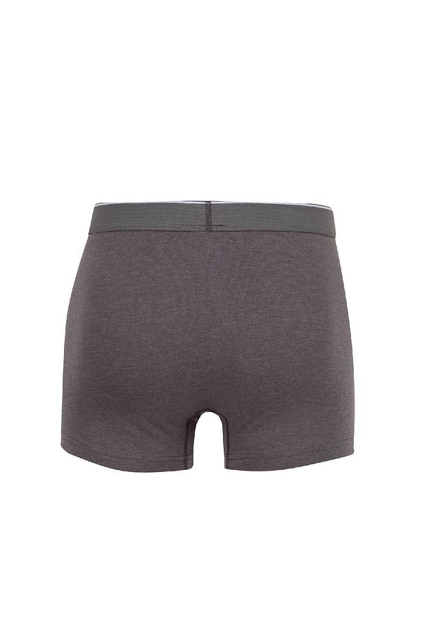 Regular Fit 3'lü Boxer C9550ax24au - 3