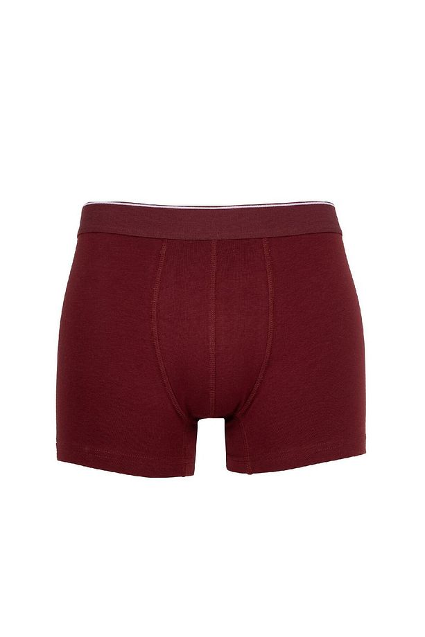 Regular Fit 3'lü Boxer C9550ax24au - 6