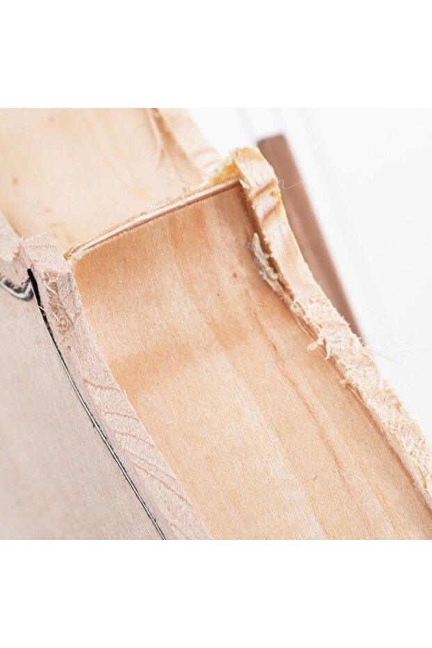 Keman 4/4 DV44PLN - 5