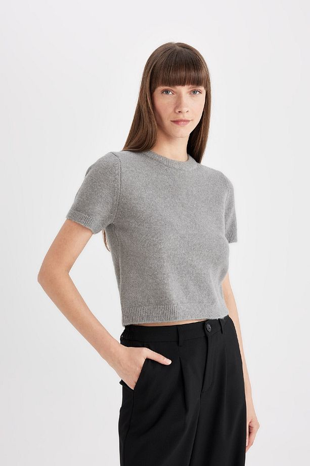 Regular Fit Bisiklet Yaka Premium Basic Düz Kısa Kollu Triko Kazak C9049ax24wn - 4