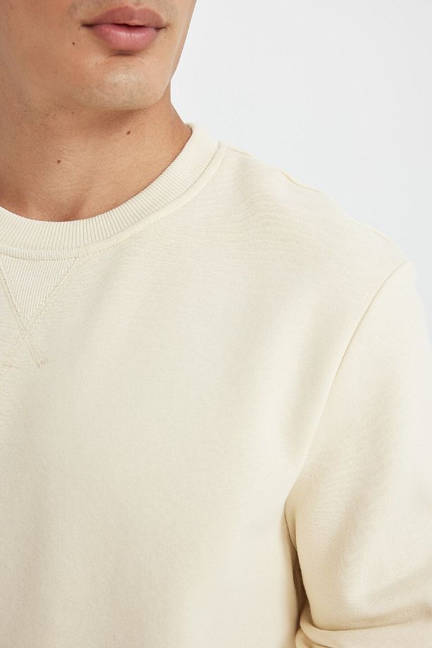 Regular Fit Bisiklet Yaka Kalın Basic Düz Sweatshirt T3777az24au - 5