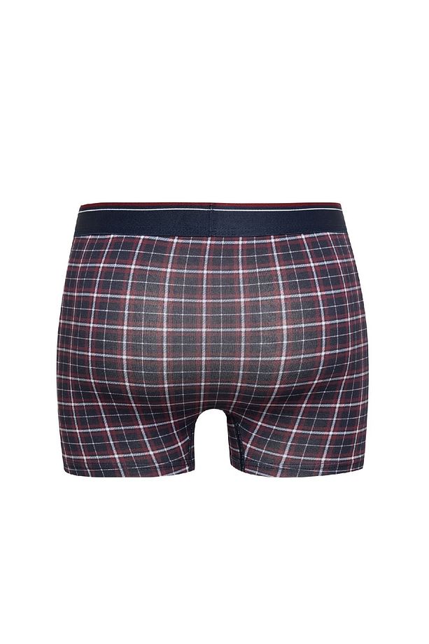 Regular Fit Kareli 3'lü Boxer D2315ax24au - 3