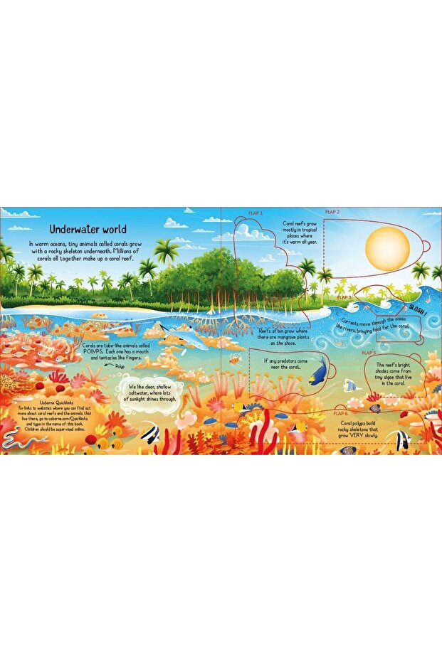 Look inside a Coral Reef - 2