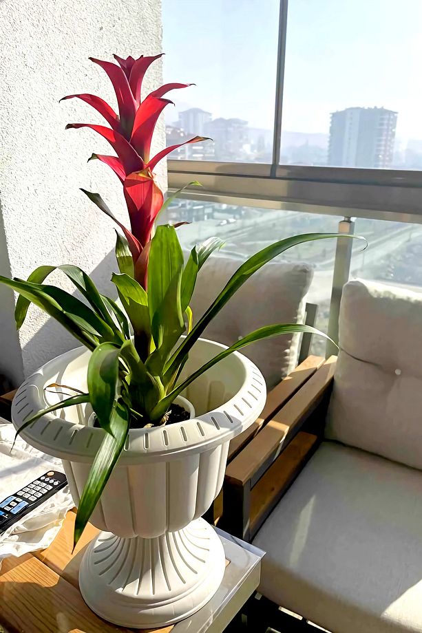 2 Adet 6 Litre Nergiz Saksı Seti Kırık Beyaz Ayaklı Plastik Çiçek Saksısı Set - 6