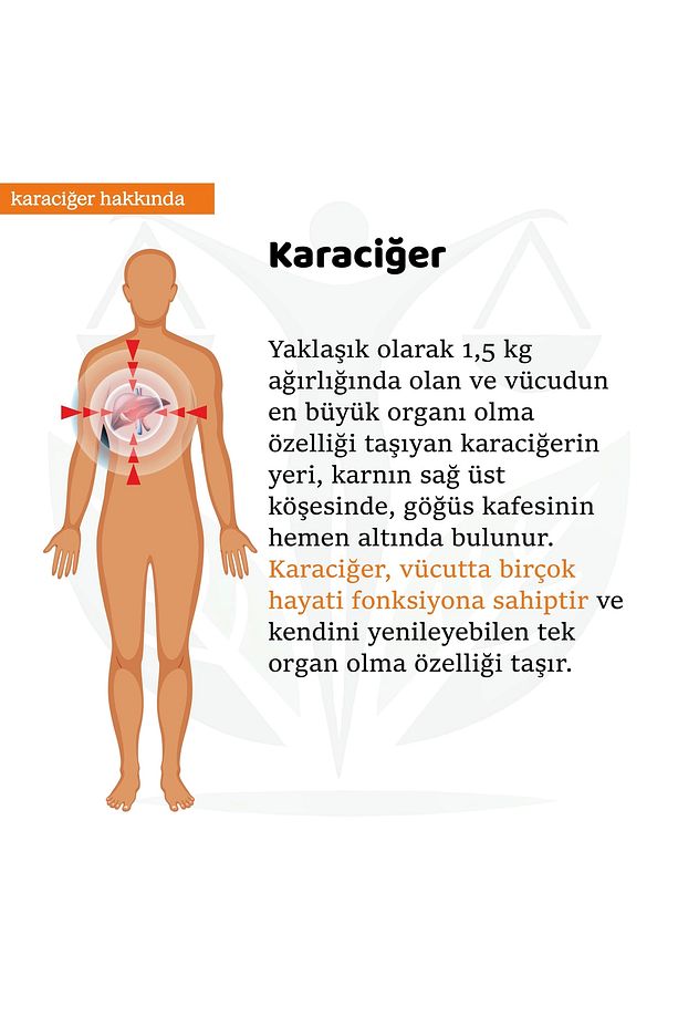 Karaciğer Sargı Bezi 100 ml Hint Yağı (HEXANSIZ) - 5
