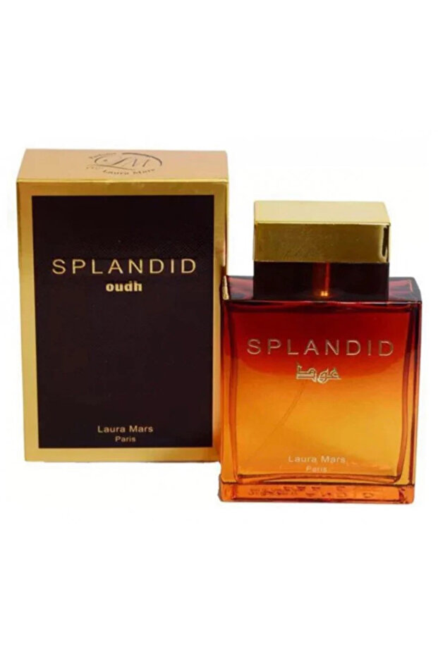 Splendid Oud Perfume 100ml - 2