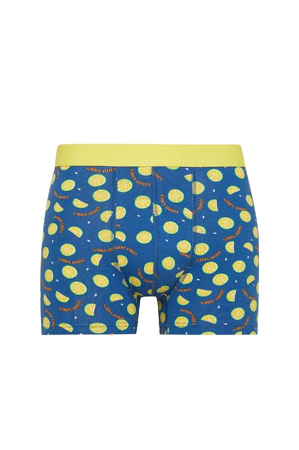 Regular Fit Desenli 3'lü Boxer C3284ax24wn - 8
