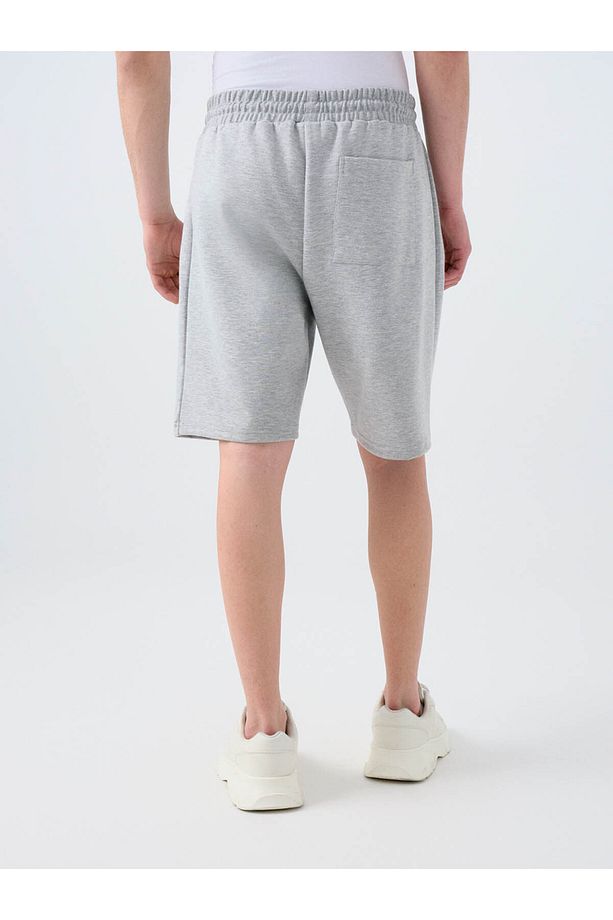 Regular Fit Gri Erkek Şort Lf2039978 - 3