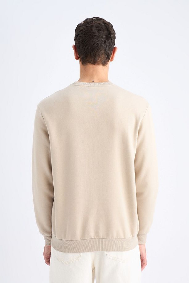 Regular Fit Bisiklet Yaka Kalın Basic Düz Sweatshirt T3777az25sp - 6