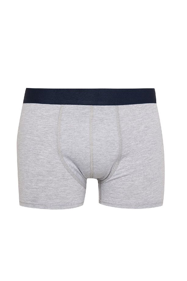 Regular Fit Hayvan Baskılı 3'lü Boxer E0047ax24cw - 6