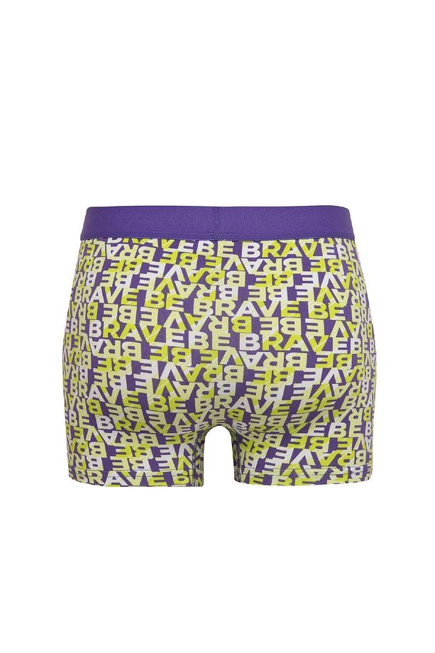 Regular Fit 3lü Boxer B7968ax24sp - 3