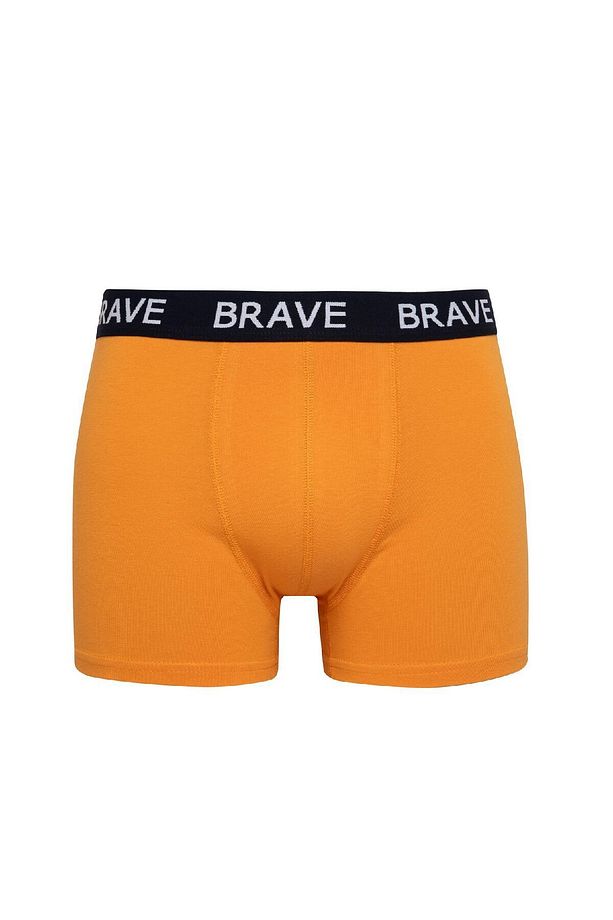 Regular Fit 3lü Boxer B7968ax24sp - 4