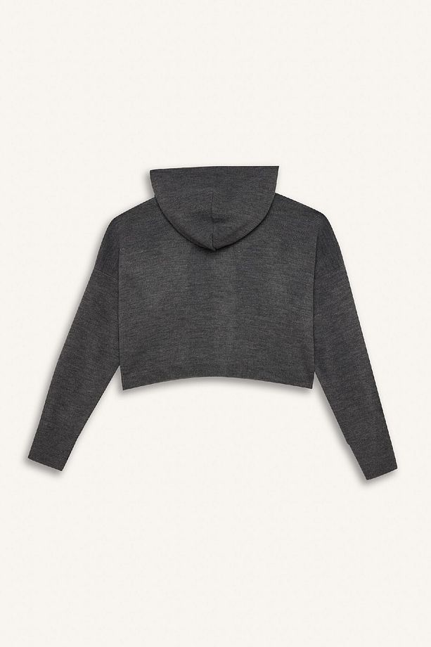 Regular Fit Kapüşonlu Basic Düz Fermuarlı Triko Hırka E2270AXNS - 3