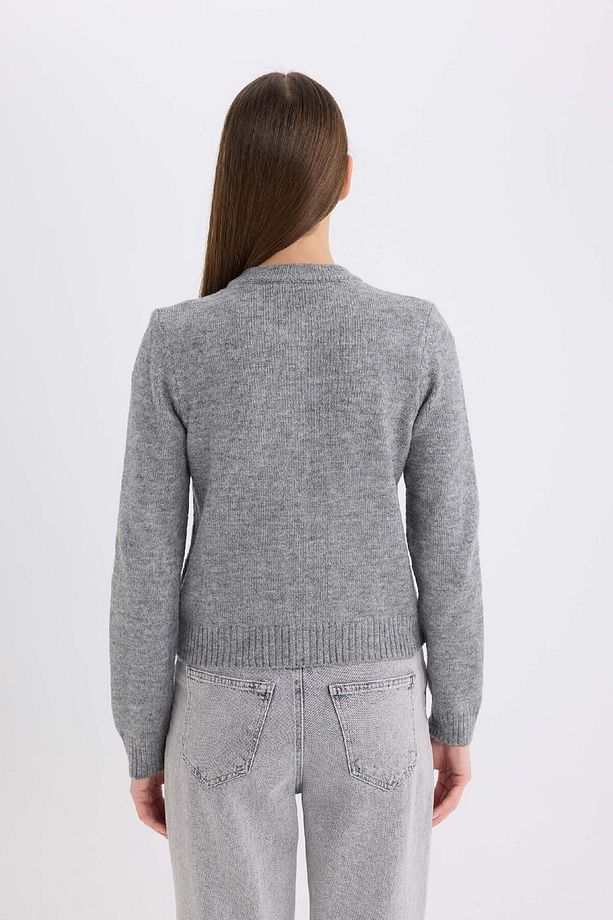 Regular Fit Bisiklet Yaka Basic Düz Düğmeli Soft Touch Yumuşak Triko Hırka E3654ax25sp - 6