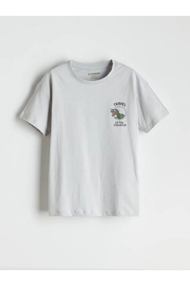 LCW Kids Gri Bisiklet Yaka Dinozor Baskılı Erkek Çocuk Şortlu Pijama Takımı - 2