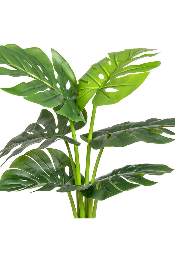 Yapay Ağaç Monstera-Deve Tabanı Gerçek Dokulu 6 Yapraklı Yeşil 85 Cm. - 2