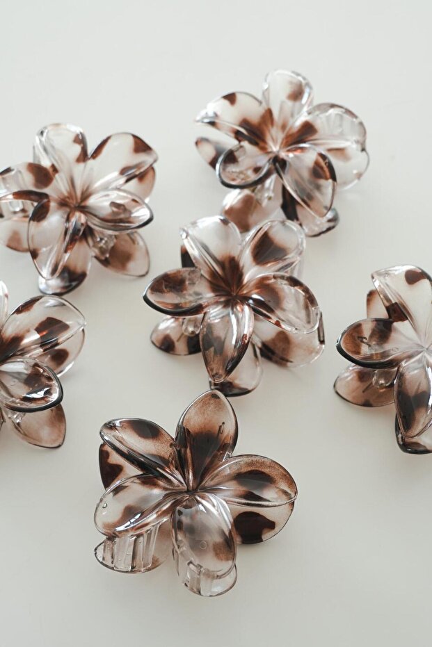 Leopar Lotus Toka - 1