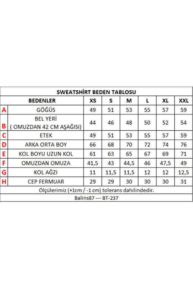 Kadın Kapüşonlu Mor Sweatshirt Mor - 3