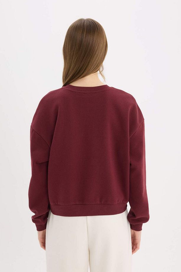 Regular Fit Bisiklet Yaka Kalın Basic Düz Sweatshirt D6645ax25sp - 6