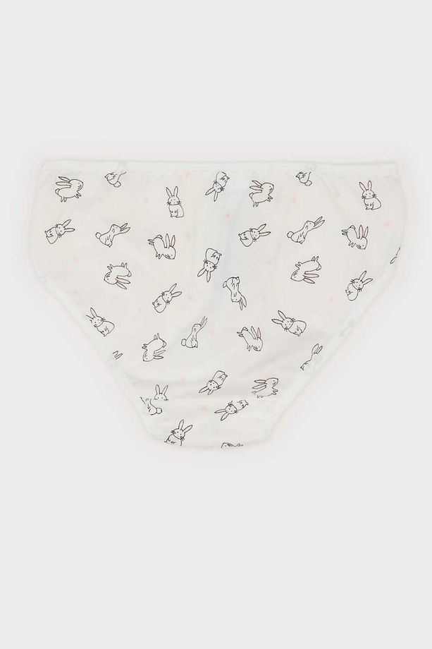 Kız Çocuk Desenli 3'lü Slip Külot E7068a825sp - 3