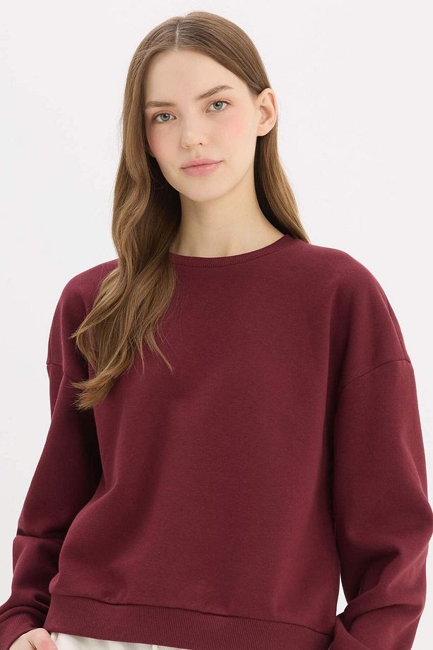 Regular Fit Bisiklet Yaka Kalın Basic Düz Sweatshirt D6645ax25sp - 1