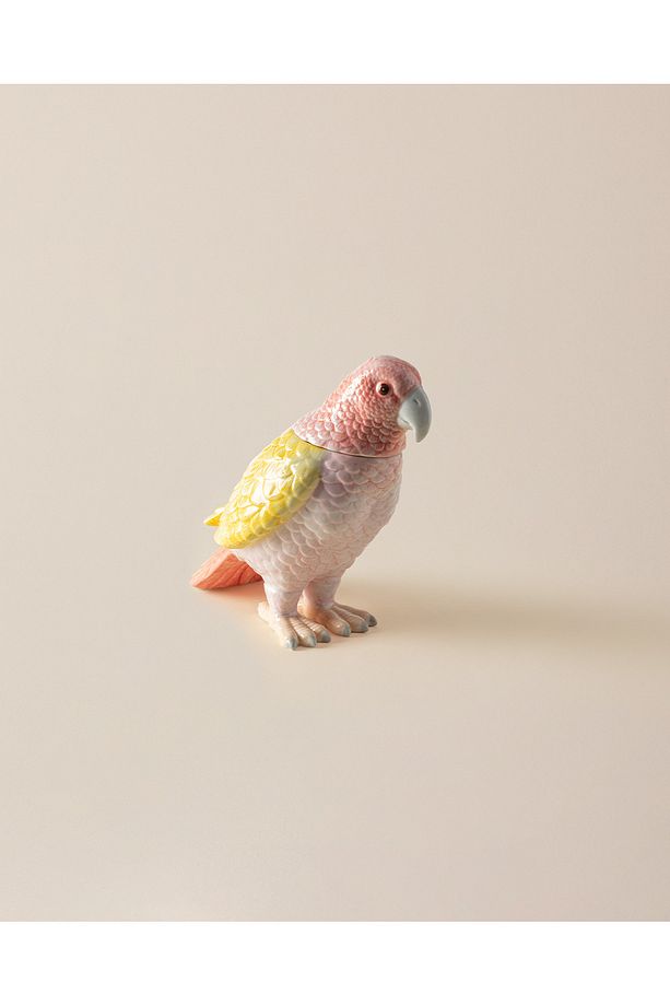 Lucy Biblo - Renkli - 2