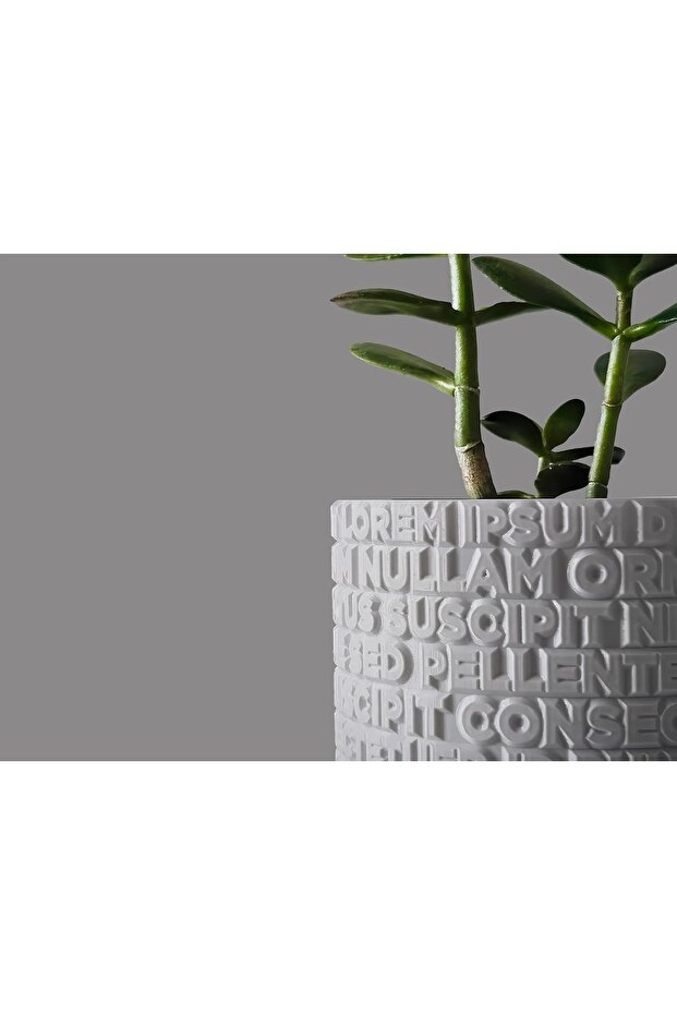 Lorem Ipsum Saksı - 3