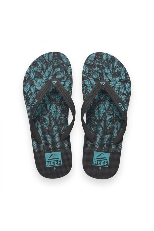 Seaside Prints - Aquifier Palm - 3