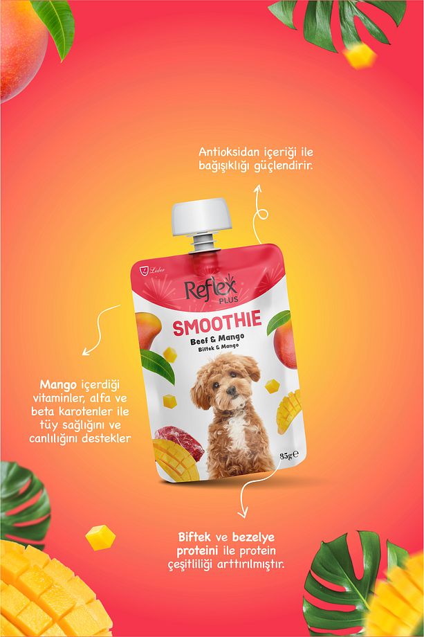 Plus Smoothie Biftekli ve Mangolu Sıvı Köpek Ödülü 85gr - 3