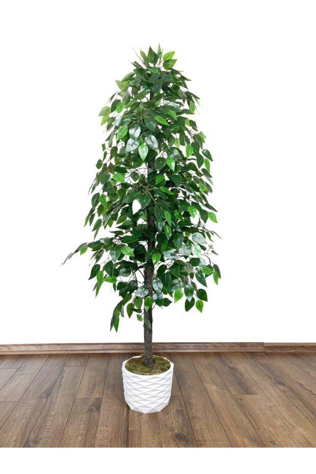 Yapay Benjamin Ağacı 160cm