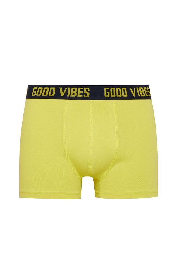 Regular Fit Desenli 3'lü Boxer C3284ax24wn - 2