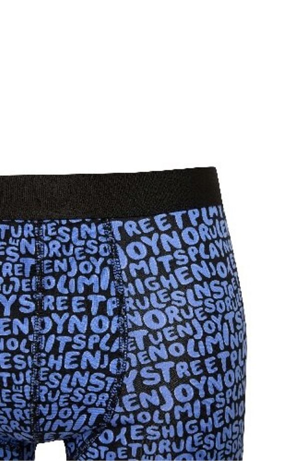 Regular Fit 3'lü Boxer E0242ax24cw - 4