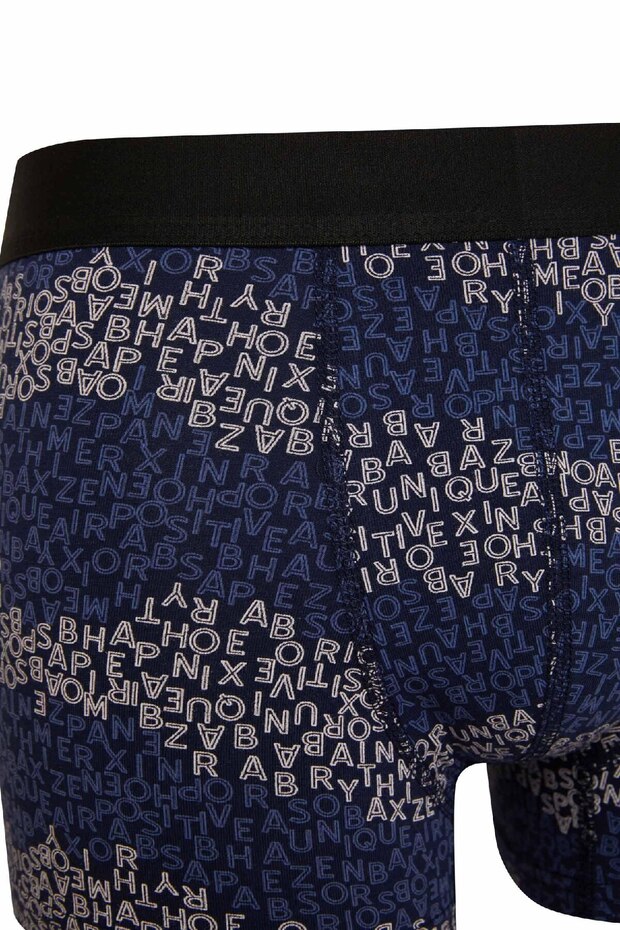 Regular Fit 3'lü Boxer E0115ax24au - 6