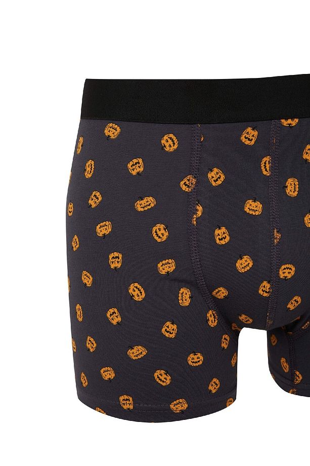 Regular Fit Bal Kabağı Baskılı 3lü Boxer E0038ax24wn - 4
