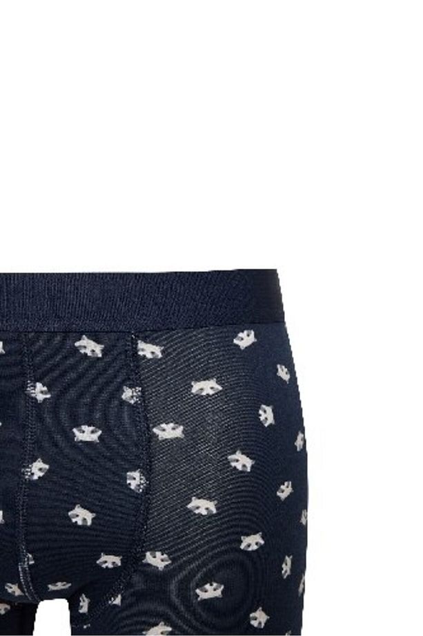 Regular Fit Hayvan Baskılı 3'lü Boxer E0047ax24cw - 4
