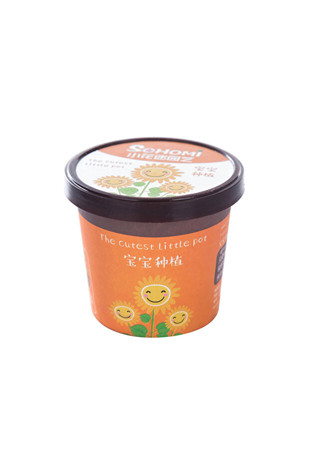 مجموعة إنبات النباتات بنفسك e-237b - 1