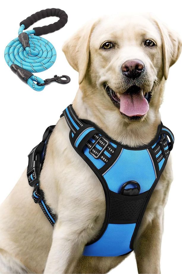 Köpek Tasması ve Gezdirme Halatı Reflektörlü Orta ve Büyük Irk İçin Yürüyüş ve Eğitim Tasma Seti - 1